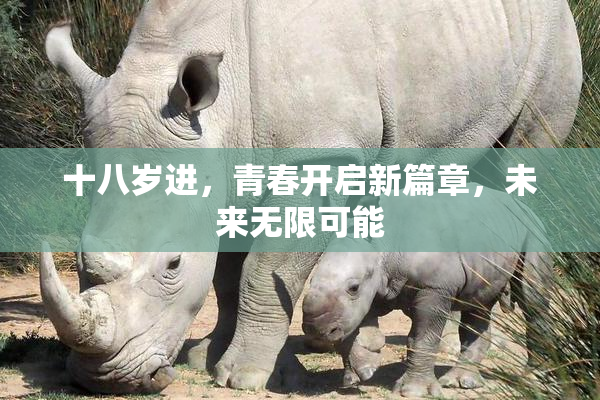 十八岁进，青春开启新篇章，未来无限可能