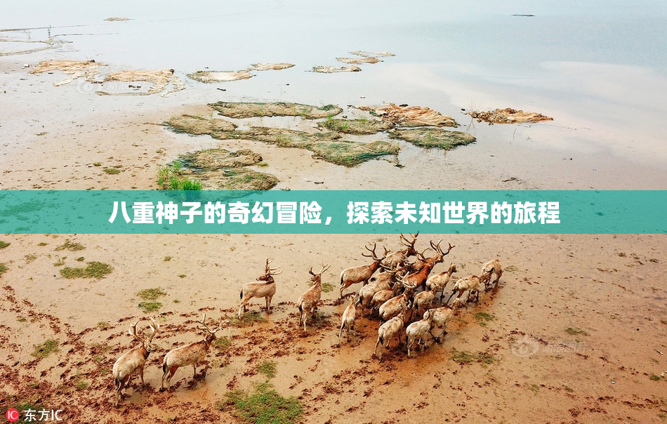 八重神子的奇幻冒险，探索未知世界的旅程