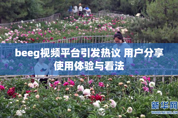beeg视频平台引发热议 用户分享使用体验与看法