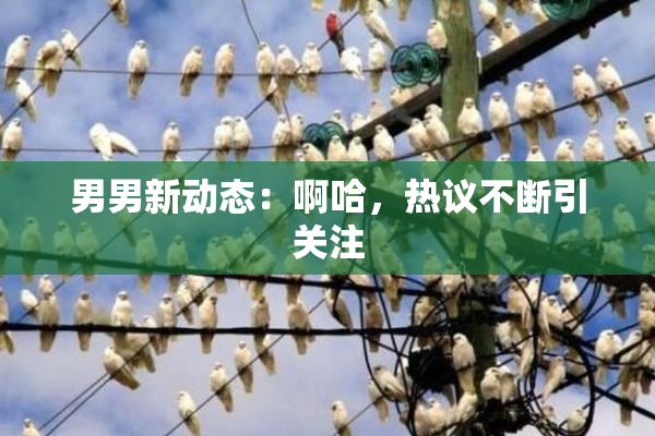 男男新动态：啊哈，热议不断引关注