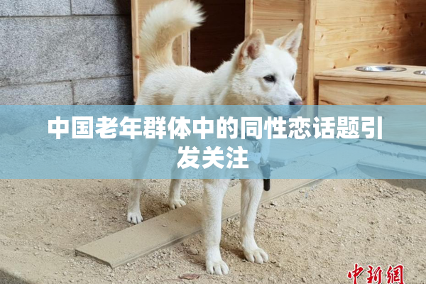 中国老年群体中的同性恋话题引发关注