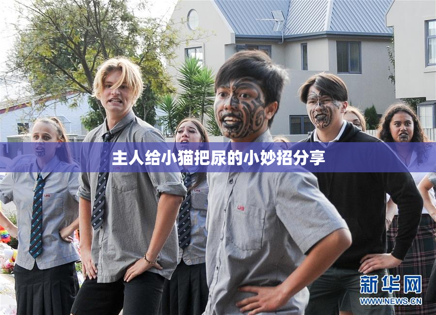 主人给小猫把尿的小妙招分享