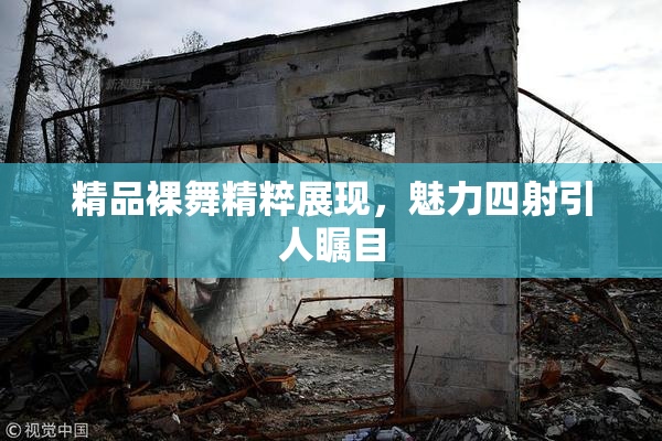 精品裸舞精粹展现，魅力四射引人瞩目