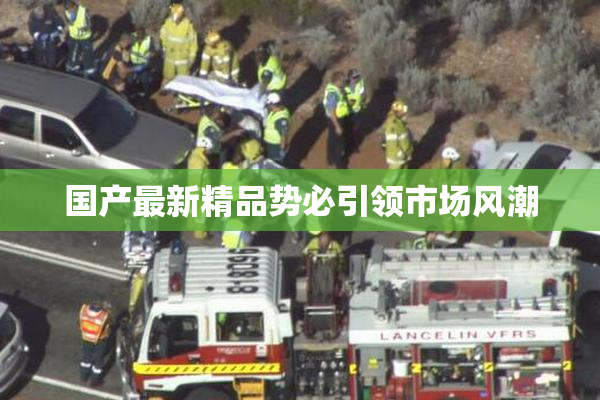 国产最新精品势必引领市场风潮