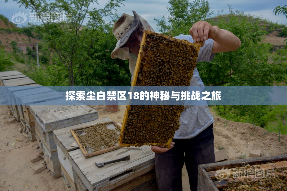 探索尘白禁区18的神秘与挑战之旅