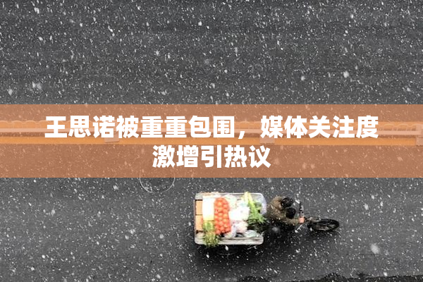 王思诺被重重包围，媒体关注度激增引热议