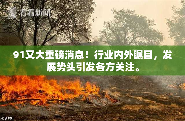 91又大重磅消息！行业内外瞩目，发展势头引发各方关注。