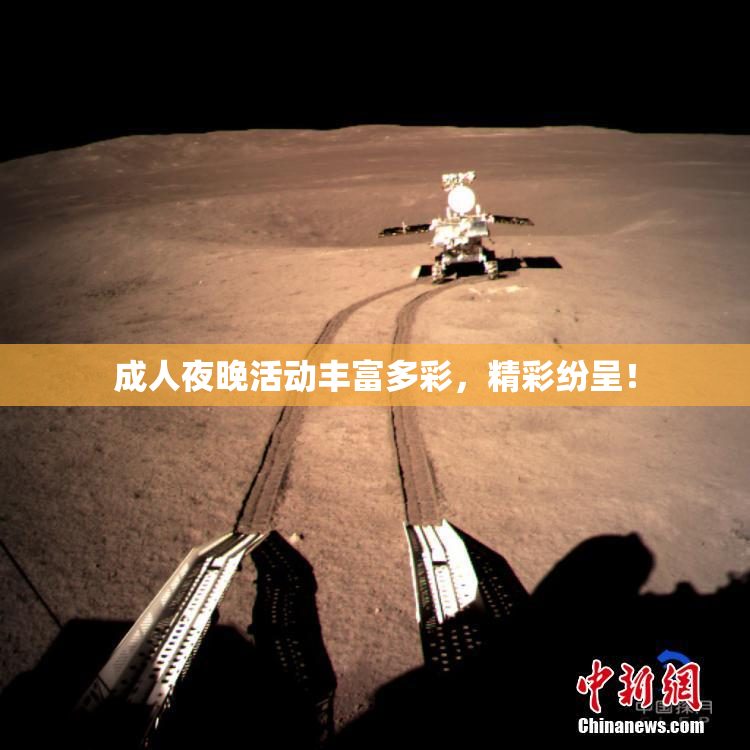 成人夜晚活动丰富多彩，精彩纷呈！