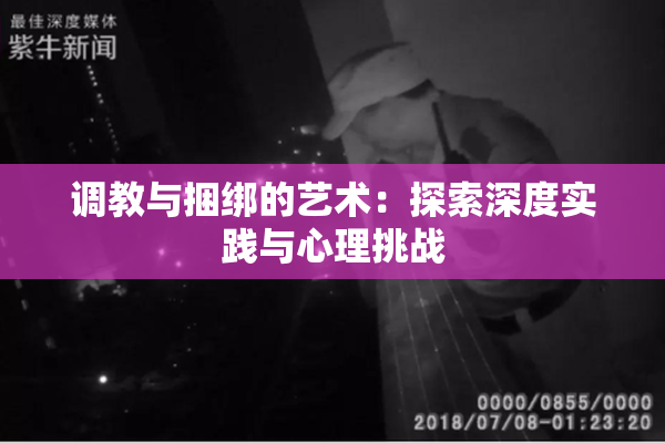 调教与捆绑的艺术：探索深度实践与心理挑战