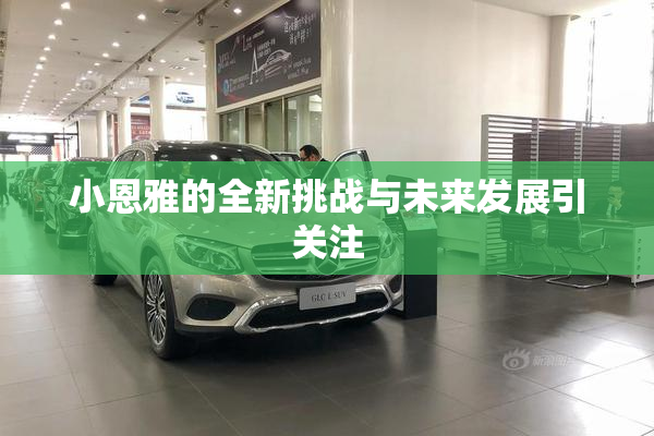 小恩雅的全新挑战与未来发展引关注