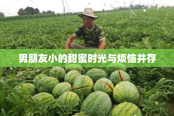 男朋友小的甜蜜时光与烦恼并存
