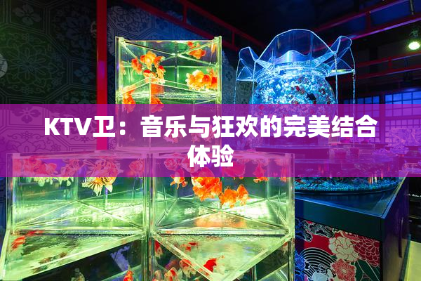 KTV卫：音乐与狂欢的完美结合体验