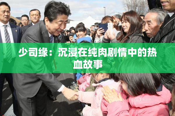 少司缘：沉浸在纯肉剧情中的热血故事