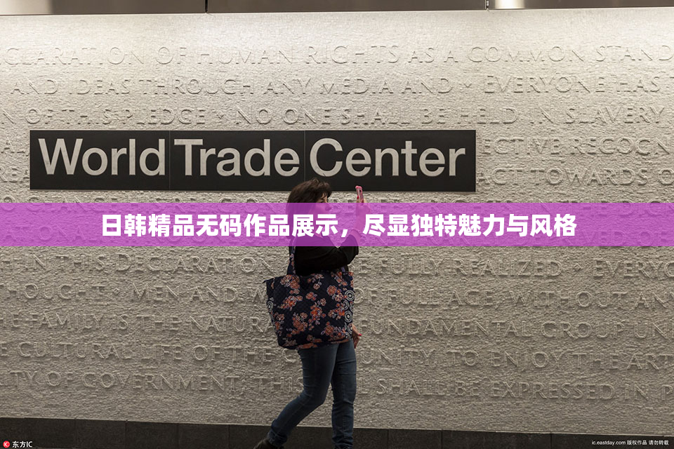 日韩精品无码作品展示，尽显独特魅力与风格