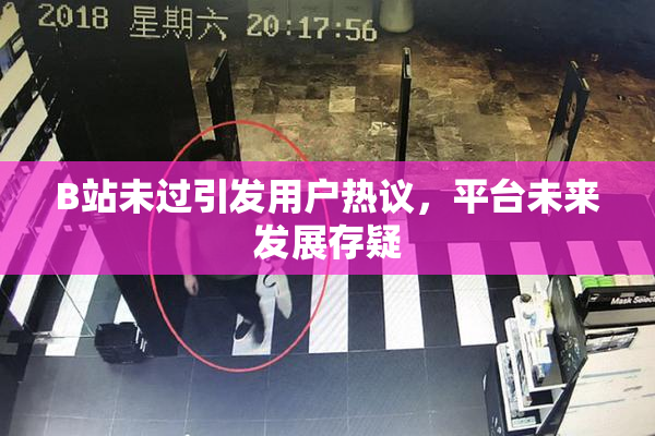 B站未过引发用户热议，平台未来发展存疑