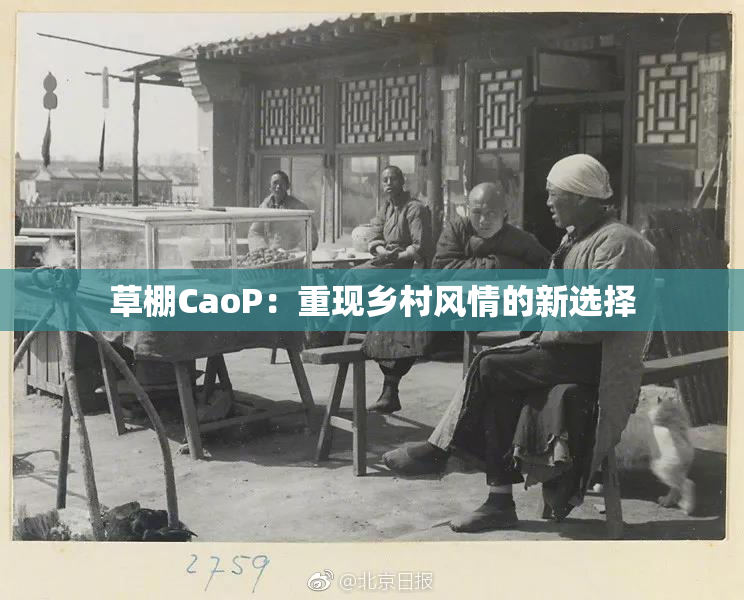 草棚CaoP：重现乡村风情的新选择