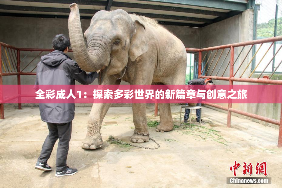 全彩成人1：探索多彩世界的新篇章与创意之旅