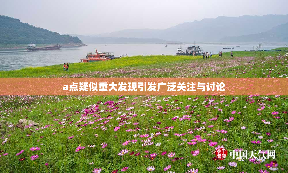 a点疑似重大发现引发广泛关注与讨论