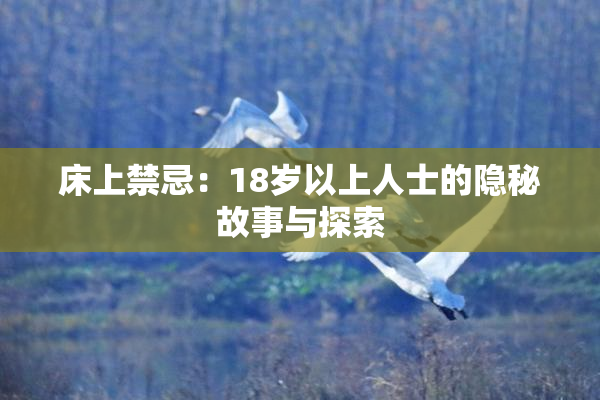 床上禁忌：18岁以上人士的隐秘故事与探索