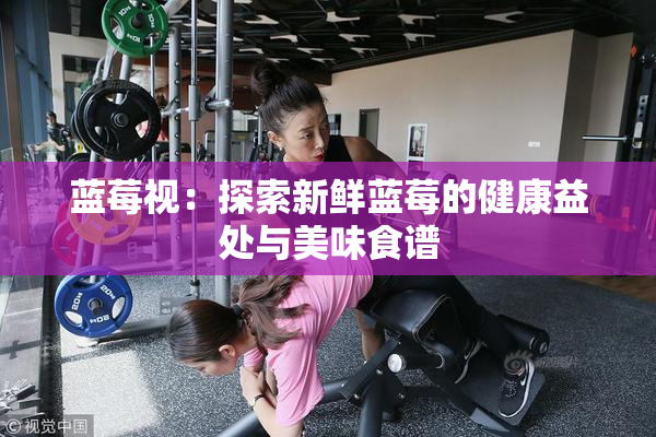 蓝莓视：探索新鲜蓝莓的健康益处与美味食谱