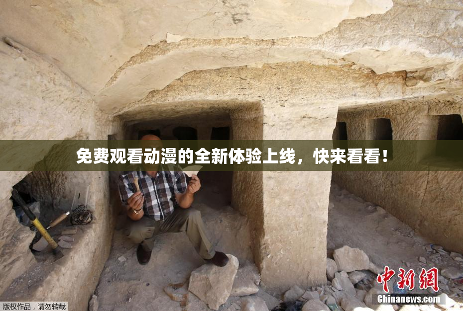 免费观看动漫的全新体验上线，快来看看！