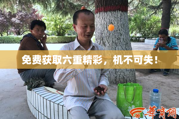 免费获取六重精彩，机不可失！