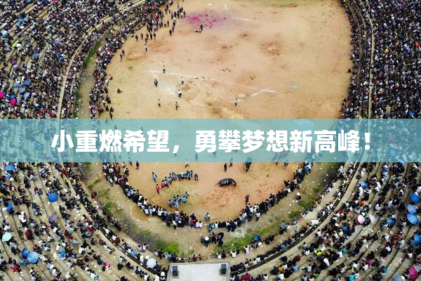 小重燃希望，勇攀梦想新高峰！