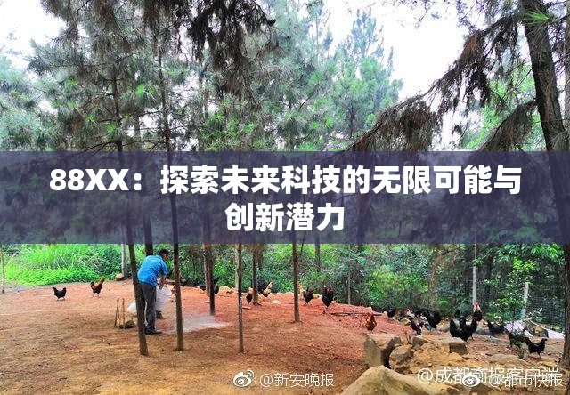 88XX：探索未来科技的无限可能与创新潜力