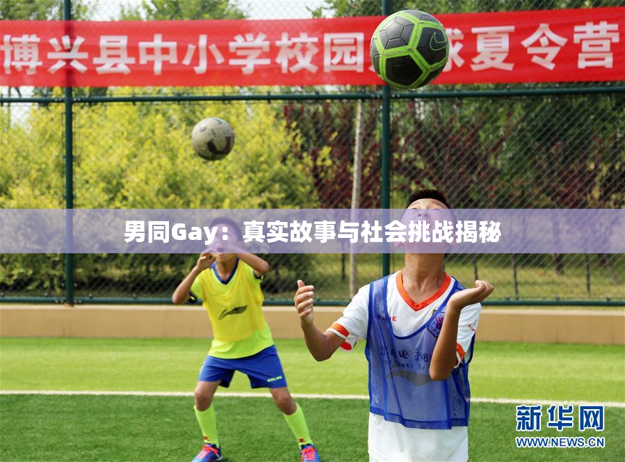 男同Gay：真实故事与社会挑战揭秘
