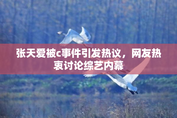 张天爱被c事件引发热议，网友热衷讨论综艺内幕
