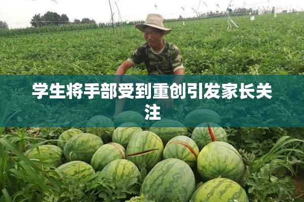 学生将手部受到重创引发家长关注
