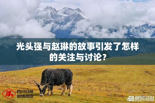 光头强与赵琳的故事引发了怎样的关注与讨论？