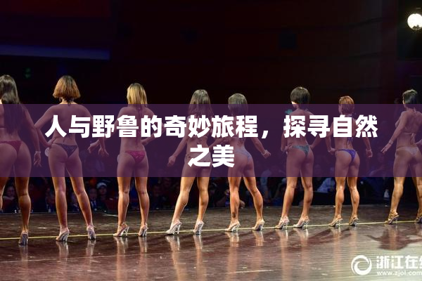 人与野鲁的奇妙旅程，探寻自然之美