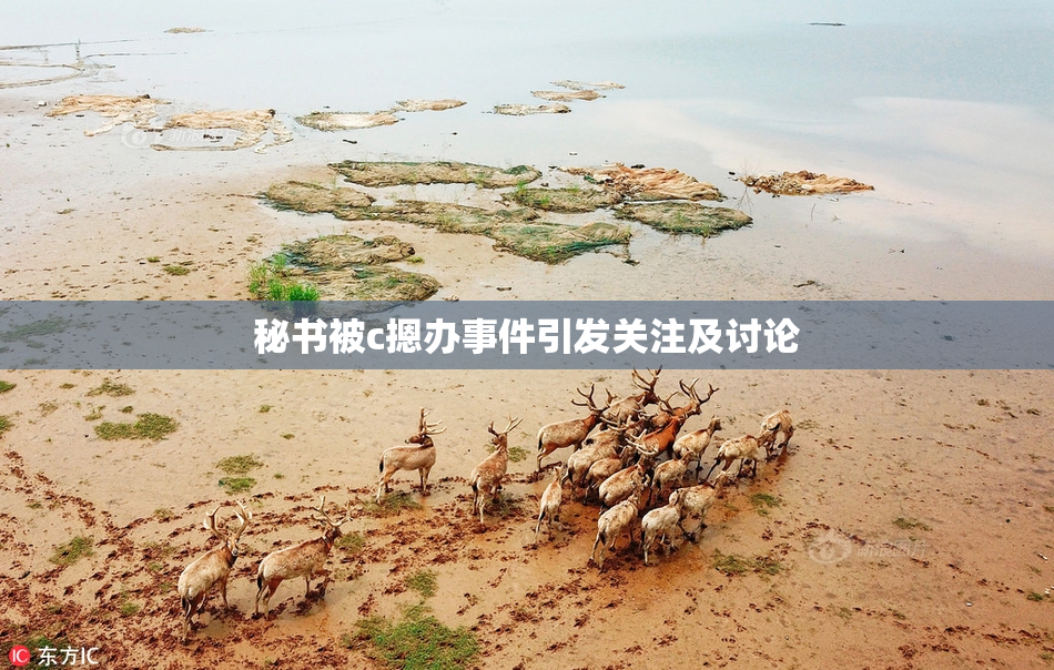 秘书被c摁办事件引发关注及讨论