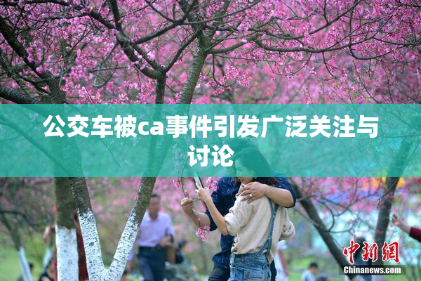 公交车被ca事件引发广泛关注与讨论