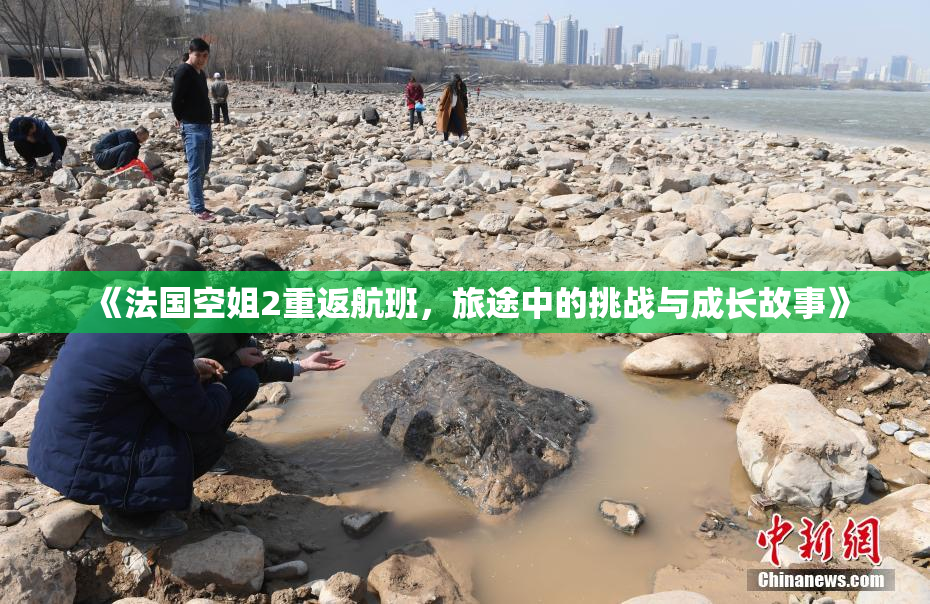 《法国空姐2重返航班，旅途中的挑战与成长故事》