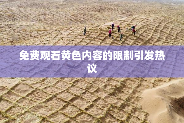 免费观看黄色内容的限制引发热议