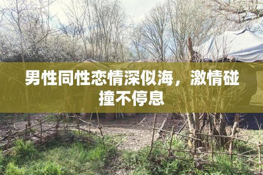男性同性恋情深似海，激情碰撞不停息