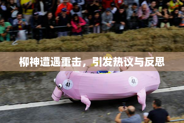 柳神遭遇重击，引发热议与反思