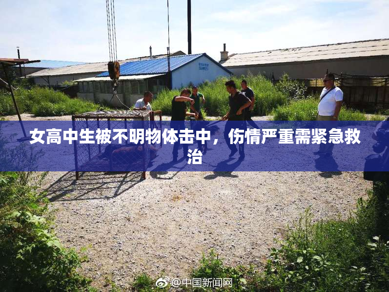 女高中生被不明物体击中，伤情严重需紧急救治