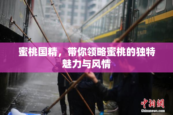 蜜桃国精，带你领略蜜桃的独特魅力与风情
