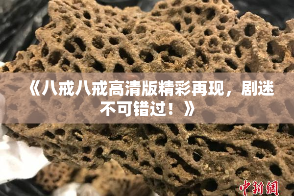 《八戒八戒高清版精彩再现，剧迷不可错过！》