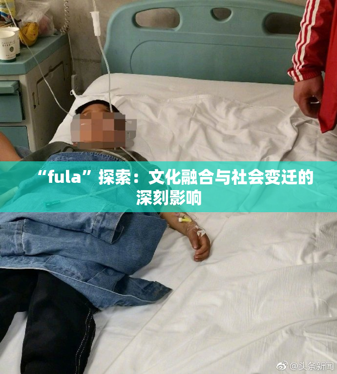 “fula”探索：文化融合与社会变迁的深刻影响