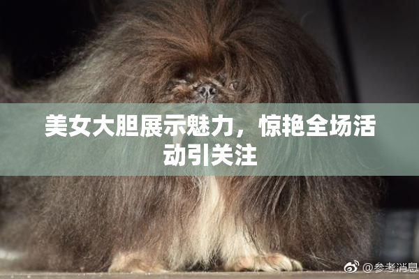 美女大胆展示魅力，惊艳全场活动引关注