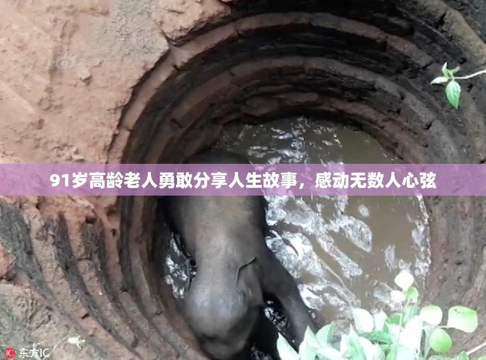 91岁高龄老人勇敢分享人生故事，感动无数人心弦