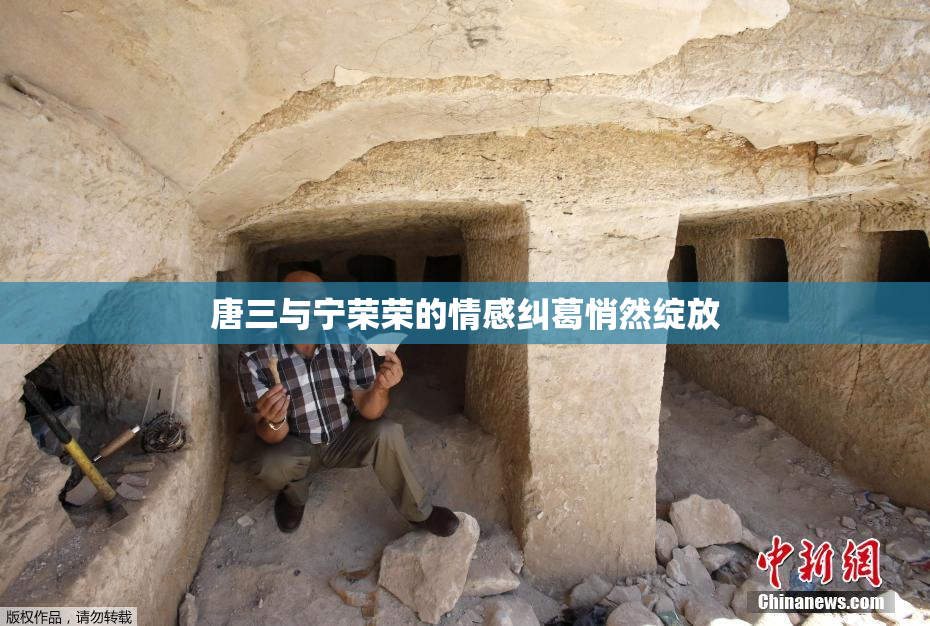 唐三与宁荣荣的情感纠葛悄然绽放