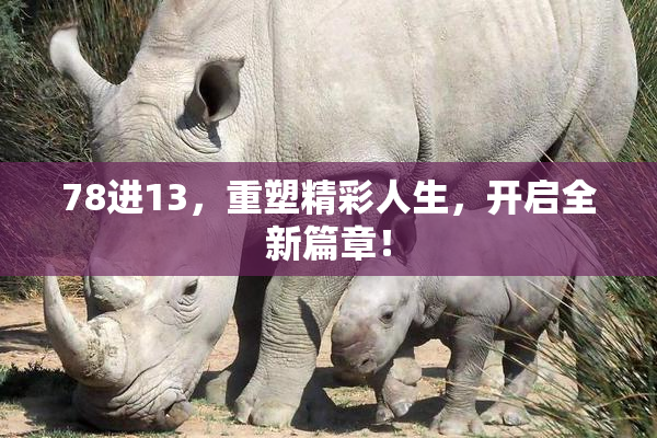78进13，重塑精彩人生，开启全新篇章！