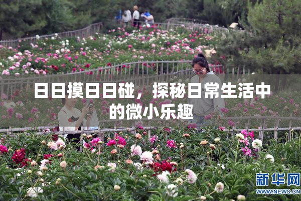日日摸日日碰，探秘日常生活中的微小乐趣