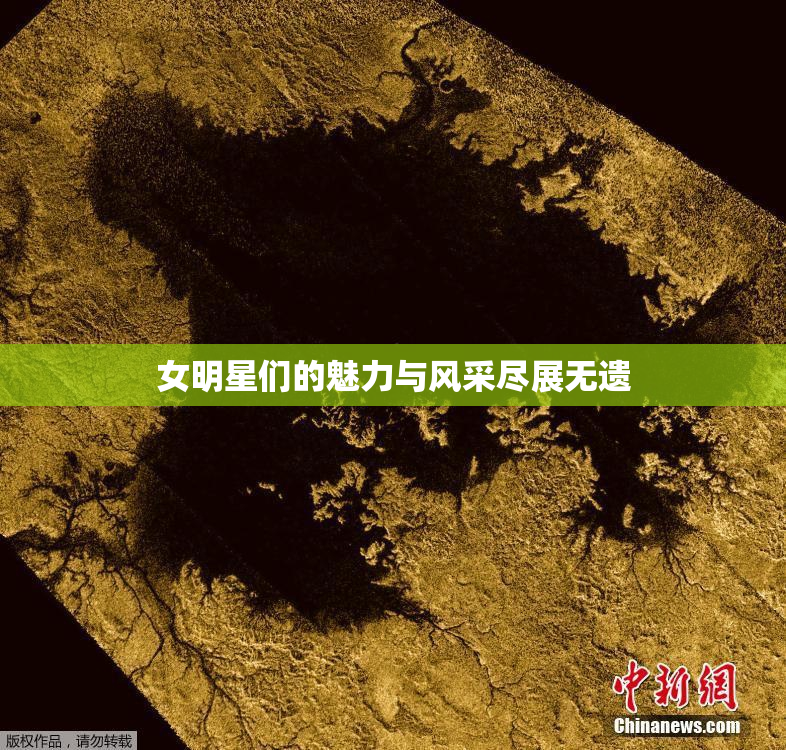 女明星们的魅力与风采尽展无遗