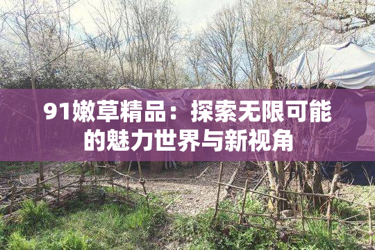 91嫩草精品：探索无限可能的魅力世界与新视角